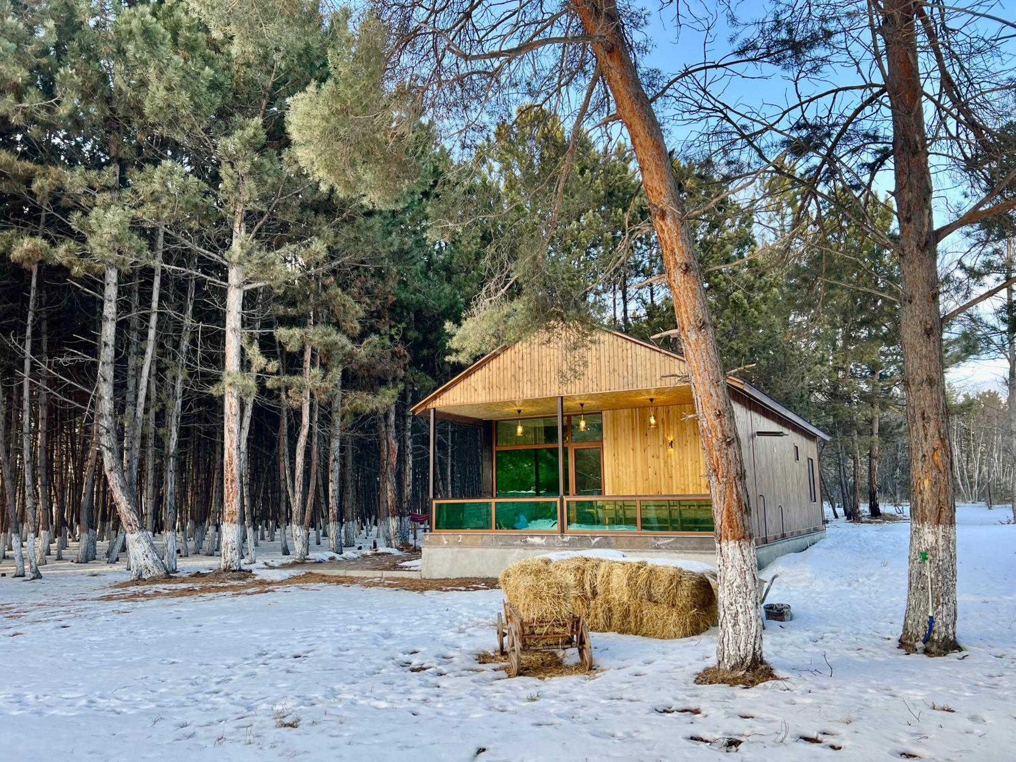 Milenium Magic Villa On Sevan Beach Zewnętrze zdjęcie